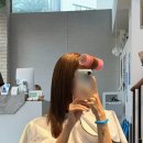 동경미용실 - 계양구 | 이매역 미용실 동경하다 분당본점 다영 디자이너 손상모 관리 골디락스 클리닉