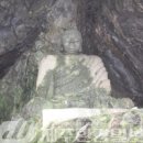 서귀동-19 이미지