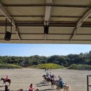 더마파크 공연장 | 제주 여행 더마파크 내돈내산 후기