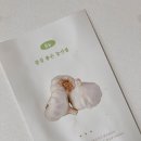 [품농] 의성마늘추천 품농 밭마늘, 신선한 육쪽마늘로 불고기요리