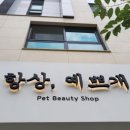 항상,예쁘개 이미지