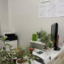 레이첼 잉글리시 이미지