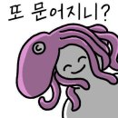 거제GO캠핑