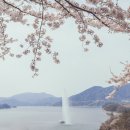 제천펌프 연합뉴스