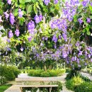 그린꽃식물원 이미지