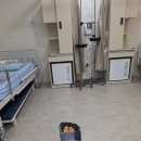 연세건우병원 | 연세건우병원 발목수술 내돈내산후기