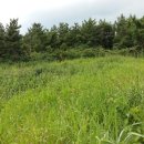 색달동-1 이미지