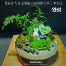 좌산초등학교 이미지