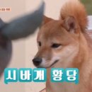 우미학 용산아이파크몰점 이미지