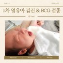 퍼스트365소아청소년과의원 | [육아] D+18 1차 영유아 검진 및 BCG 접종 (in 퍼스트365 소아청소년과의원)