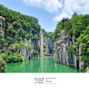 포천 모노레일(주) 이미지