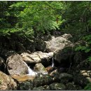 도장골2 이미지