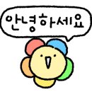 이프오션 이미지