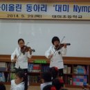 대미초 이미지