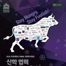 네트워크프라임