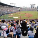 야구장 - 종로구 대학로1길 42 | 야구장