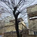 스테이블모먼트월배점 | 대구 대형카페 스테이블모먼트 월배점, 아이와 가기 좋은 카페 후기