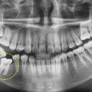이경우치과의원 이미지