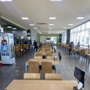 부산 기장 맛집 ‘명품물회’ 내돈내산 후기, 소면추가 필수