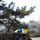 문막초등학교 이미지