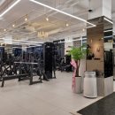 마이더스짐 이미지