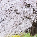 ㈜에스투건설 이미지