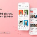 핌피바이러스
