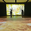 백제태권도장 이미지