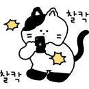 위미그라스 이미지