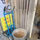 봉천동진순자계란말이김밥 | 용인중앙시장봉천동진순자계란말이김밥(칼국수수제비)