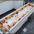 대구시민전문장례식장