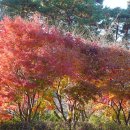 스포원파크 이미지