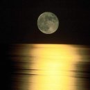 뜰가득한 이미지