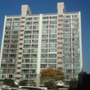 수지로342번길 이미지