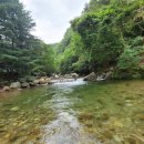 그린농원민박 이미지