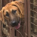 명도농장 이미지