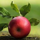 천천농장 이미지