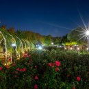 곡성집라인 이미지