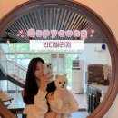 반디별펜션 | 반디빌리지-(가평)