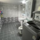 도진리95 이미지