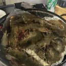 랑'S종합동물병원 다이닝코드