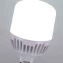 내장농장 이미지