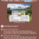 하남대로L | 일본 호야(HOYA) 누진 다초점 렌즈로 편안한 개인 맞춤 가공 후기