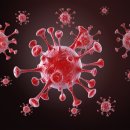 올데이피티 이미지