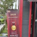 에스에스게러지