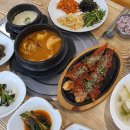매산청풍영농조합법인 | 6시 내고향 전북 장수 머위 파는 곳 구매 택배 주문 방법 매산청풍영농조합법인 정보