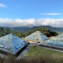 제251차11월국립백두대간수목원&amp;영주,무섬마을 정기트레킹안내 이미지