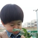 서이천농원 이미지