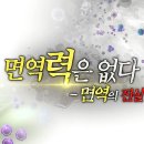 면역력은 없다 &#39;면역의 진실&#39; 이미지