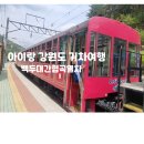 백두세상 | 백두대간 협곡열차 V-Train 철암 분천 왕복 탑승 후기 예약방법 철암탄광역사촌 분천 산타마을